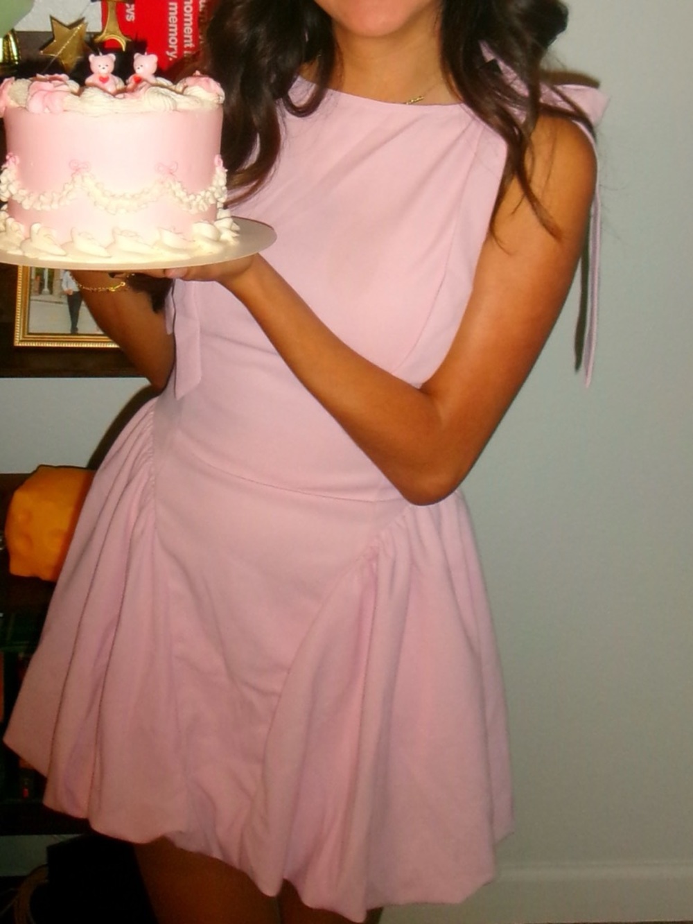 Cider Soft Pink Party Skater Dress